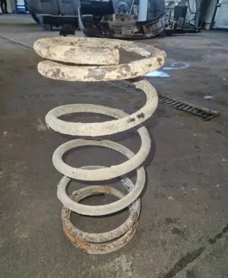 Rear coil spring