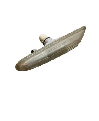 Front fender indicator light