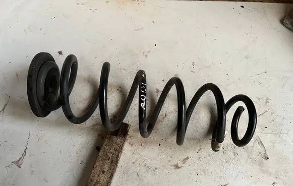 Rear coil spring