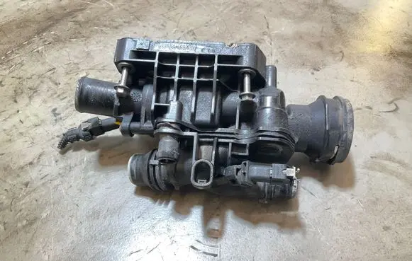 Thermostat/thermostat housing