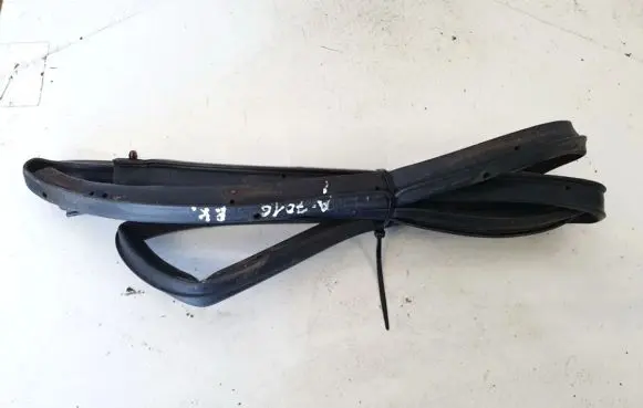 Nissan Qashqai Rubber seal front coupe door 