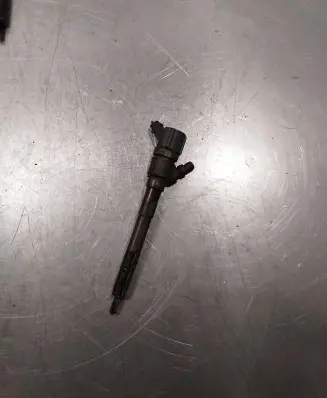 Hyundai Santa Fe Fuel injector 0445110254 3380027800