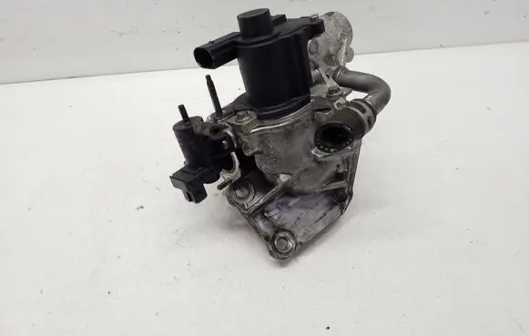 Nissan Juke I F15 EGR valve 700366180 70036817