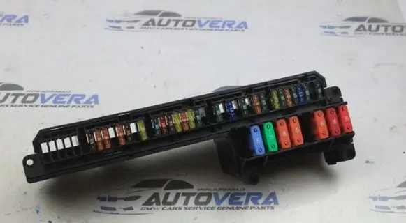 Fuse module