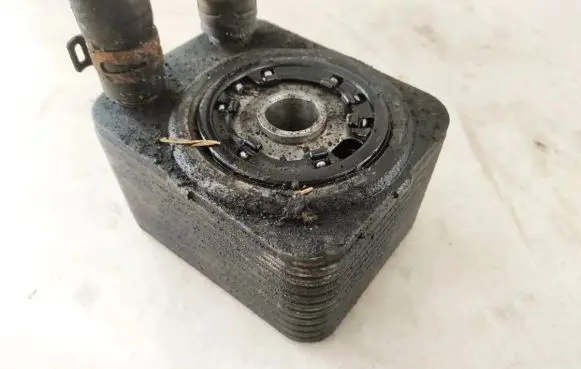Volkswagen PASSAT B6 Engine oil radiator 