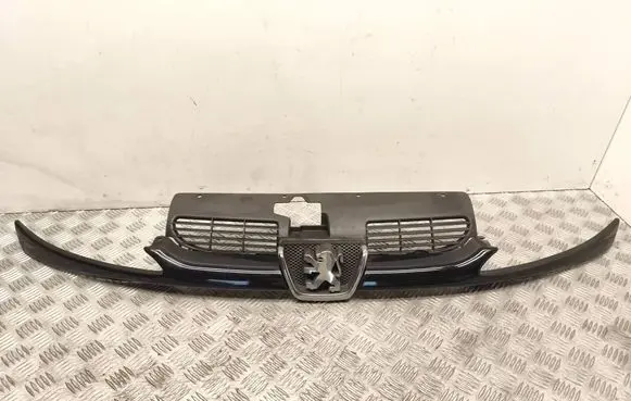 Peugeot 206 Front grill 9628934280
