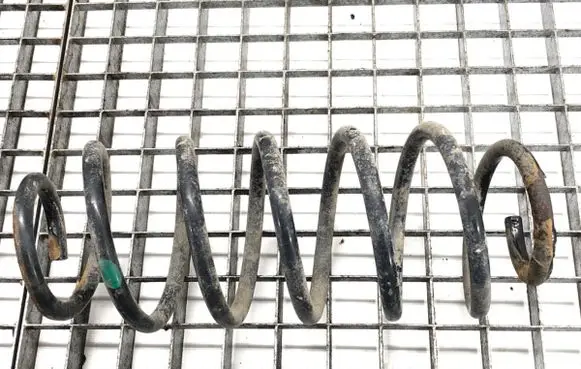Rear coil spring