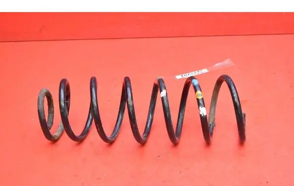 Rear coil spring