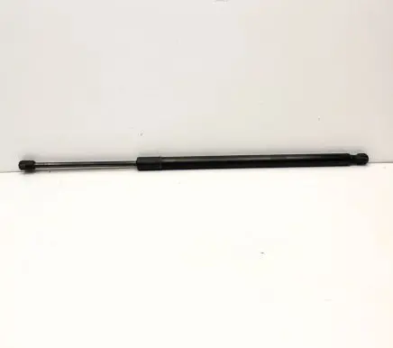 Ford Kuga III Tailgate/trunk strut/damper LJ6BS406A10AC