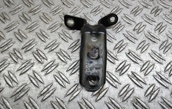 Chevrolet Cruze Rear door lower hinge A046057