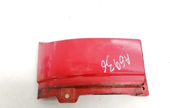 Rear/tail light trim molding