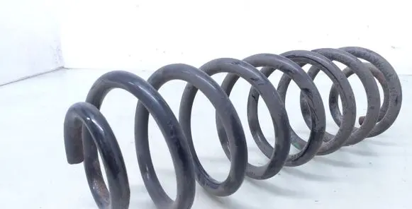 Ford Ecosport Rear coil spring