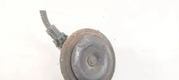 Horn signal