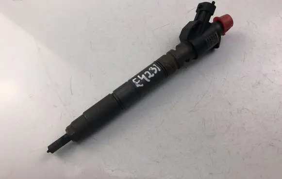 Volvo V70 Fuel injector 31303238
