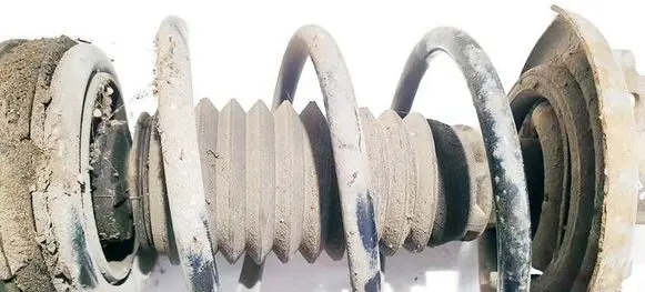 Renault Laguna III Front coil spring 