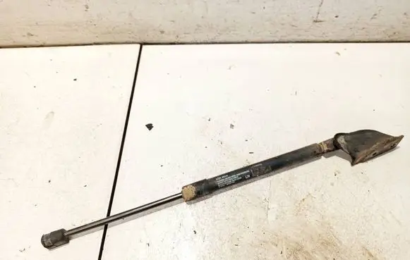 Tailgate/trunk strut/damper