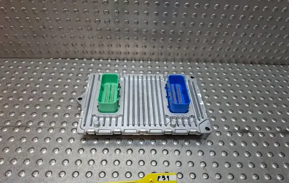 Engine control unit/module ECU