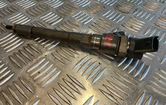 Hyundai Santa Fe Fuel injector 0445110254