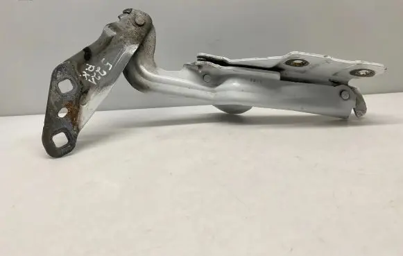 Ford S-MAX Engine bonnet/hood hinges EM2BR16801AF