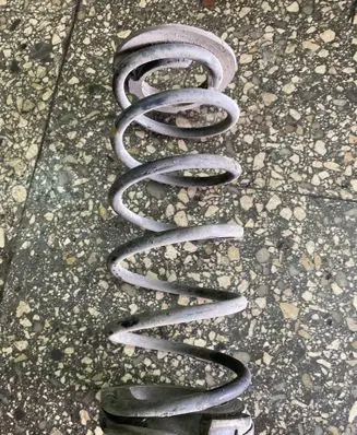 Rear coil spring