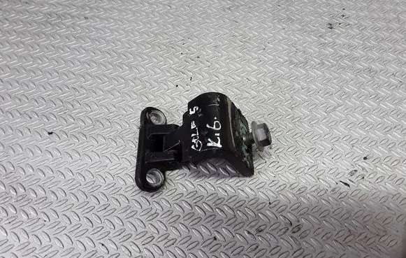 Volkswagen Golf V Tailgate/trunk/boot hinge