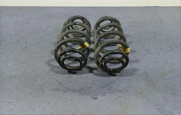Opel Ampera Rear coil spring 22810673