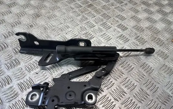 BMW 4 F32 F33 Engine bonnet/hood hinges 7336700