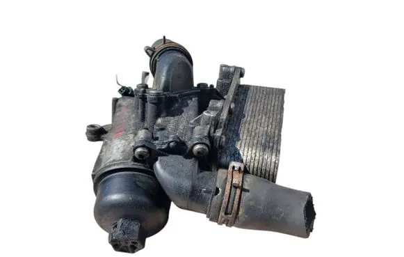 Renault Laguna III Engine oil radiator 8200507878