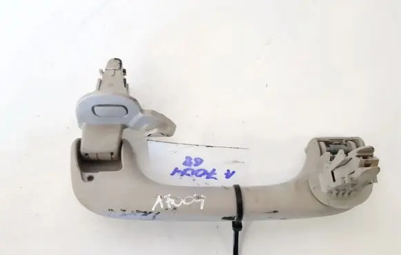 Renault Scenic II - Grand scenic II Front interior roof grab handle