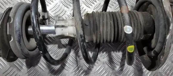 Front coil spring