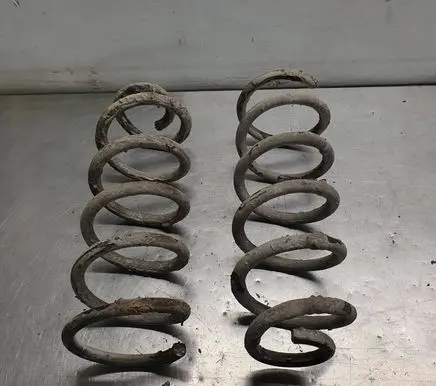 Rear coil spring