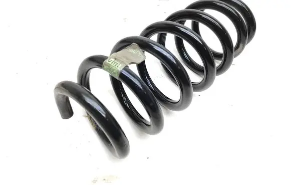 Rear coil spring