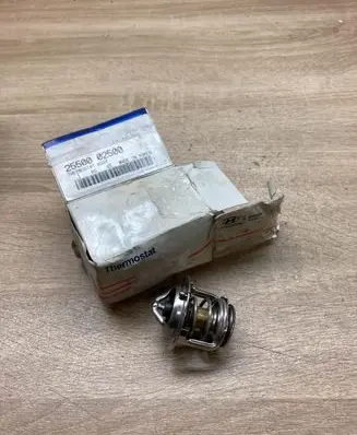 Hyundai Getz Thermostat 2550002500