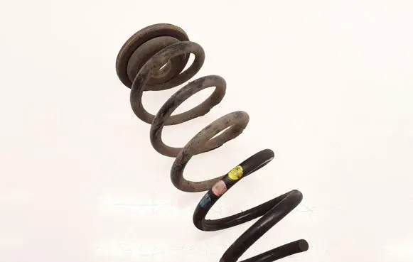 Volkswagen Golf V Rear coil spring