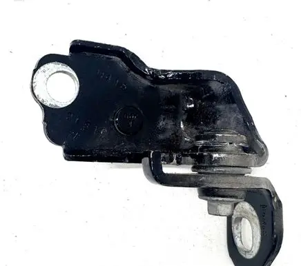 Ford Fusion II Rear door lower hinge 