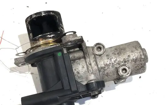 Renault Kangoo II EGR valve 8200282949