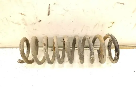 Rear coil spring