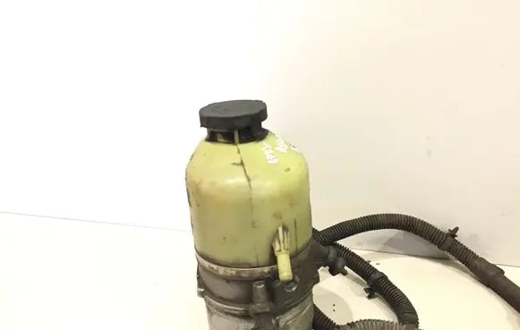 Electric power steering pump