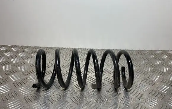 Rear coil spring
