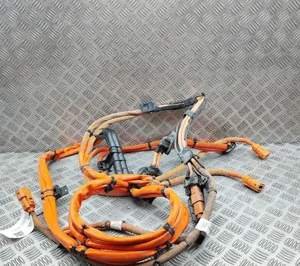 Porsche Panamera (971) Other wiring loom 971971012A