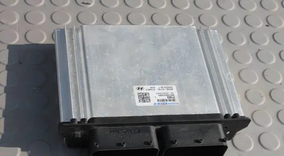 Engine control unit/module ECU