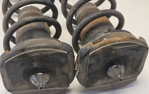Rear coil spring