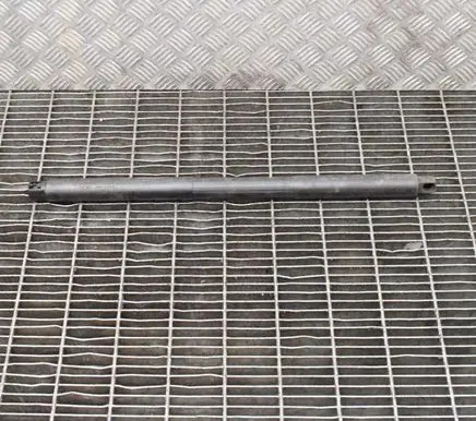 Mercedes-Benz GLS X166 Tailgate/trunk strut/damper A1669803764