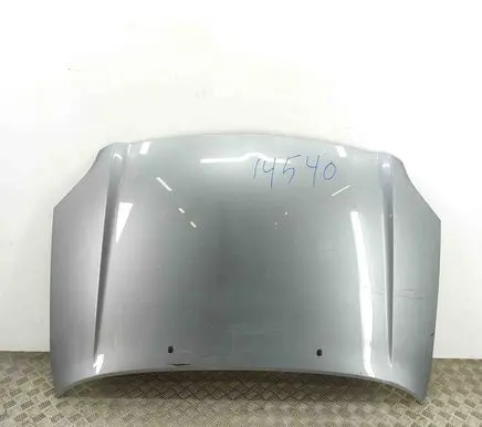 Engine bonnet/hood