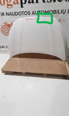 Engine bonnet/hood
