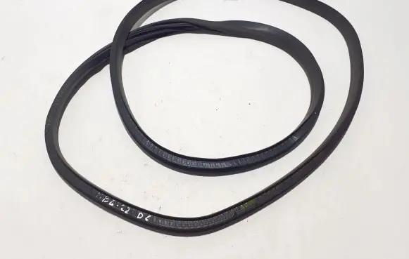 Renault Megane E-Tech Rear door rubber seal (on body) 769241726R