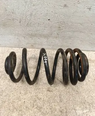 Rear coil spring