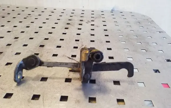 Renault Scenic I Rear door check strap stopper