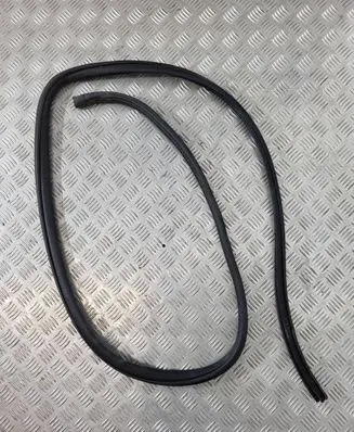 Fiat Fullback Front door rubber seal 