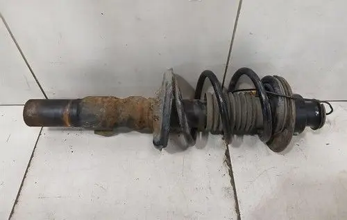 Porsche Cayman 987 Rear shock absorber with coil spring 98733305307